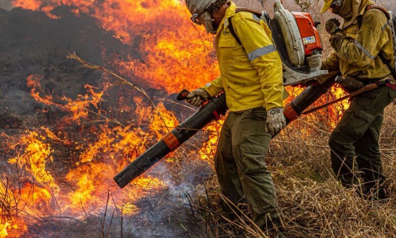 Governo repassa R$ 337 milhões para combate a incêndios e desmatamento