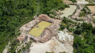 Câmara aprova urgência de texto que facilita garimpo de menor porte