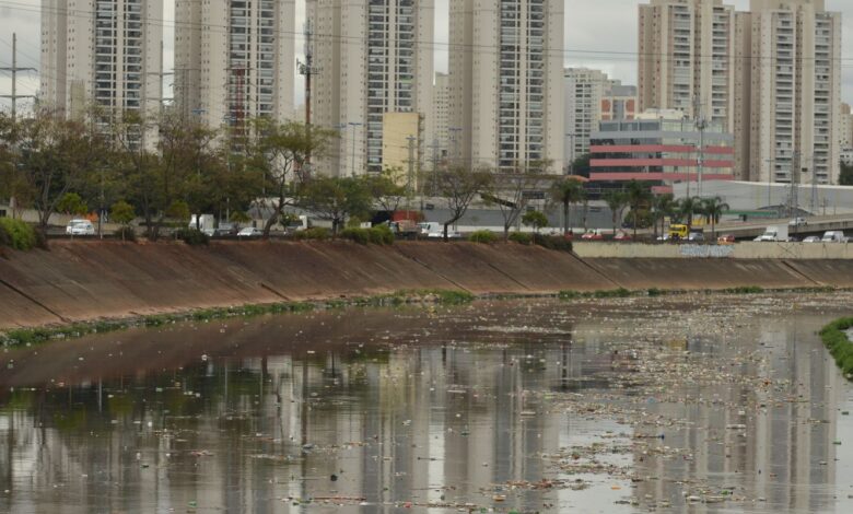 Rio Tietê não tem trecho livre de contaminação, diz SOS Mata Atlântica