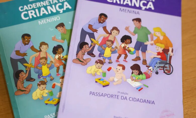 Vacinação com a Pneumo 20 pelo SUS começa em duas semanas, diz Padilha