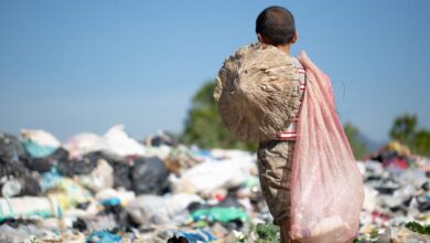 Mais de 4,3 mil crianças foram tiradas do trabalho infantil em 2025
