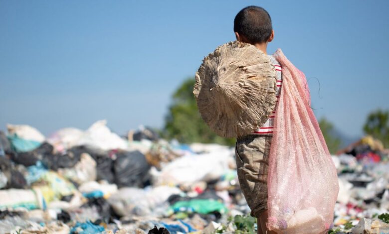 Mais de 4,3 mil crianças foram tiradas do trabalho infantil em 2025