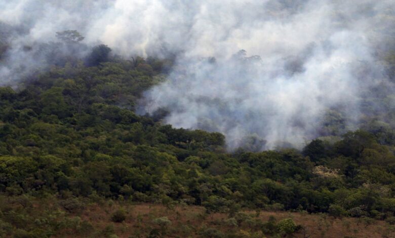 Copernicus: emissão global de gases por incêndios é a menor em 24 anos