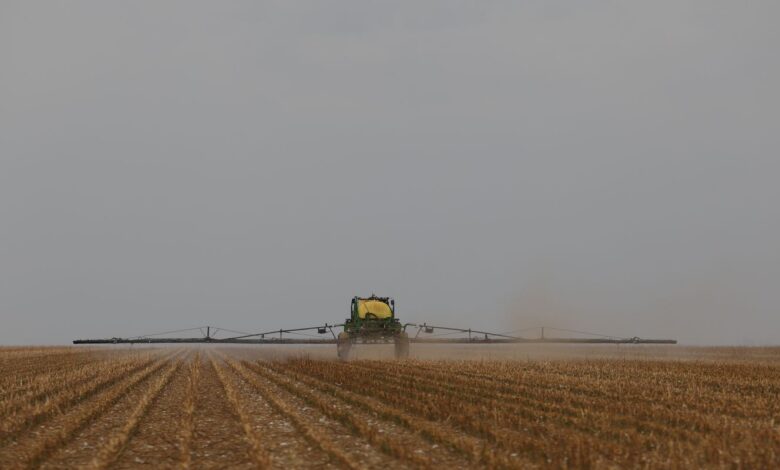 CMN aprova crédito de R$ 10 bilhões para inovação no agronegócio