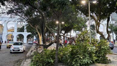 Meteorologistas dizem que não é possível associar ventanias ao El Niño
