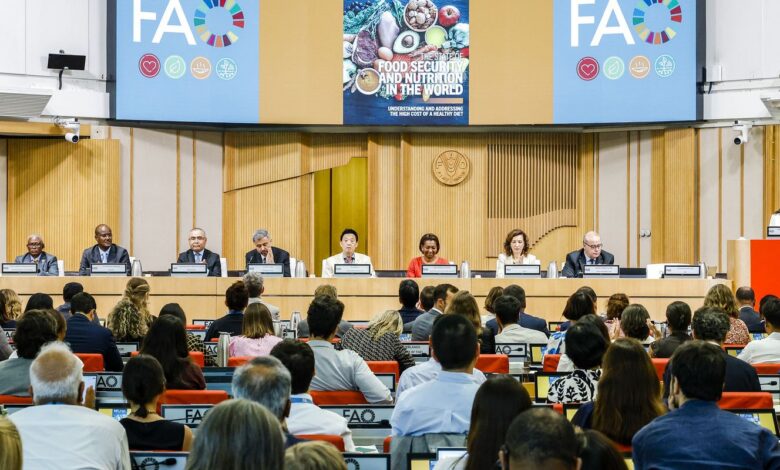 Brasil continua fora do Mapa da Fome, aponta relatório da ONU