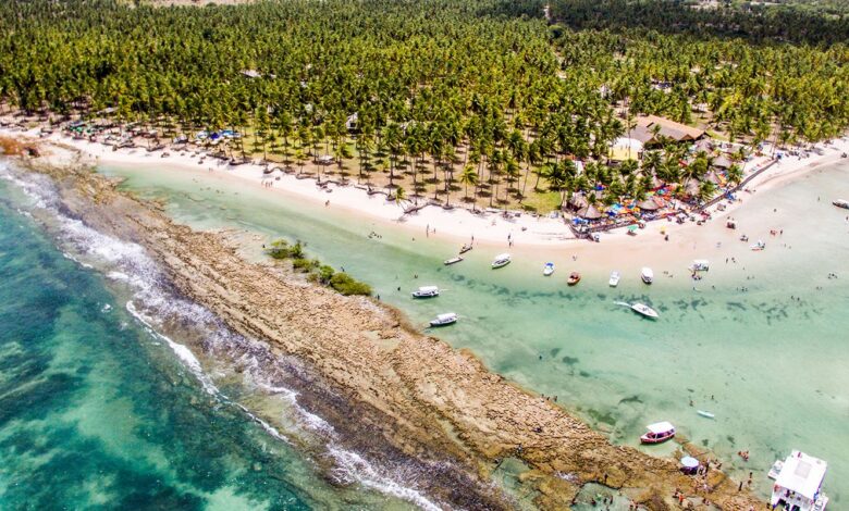 Barulho de barco e de turistas afeta comunicação de peixes, diz estudo