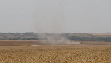 Estudo propõe avanços na rastreabilidade ambiental da soja e da carne