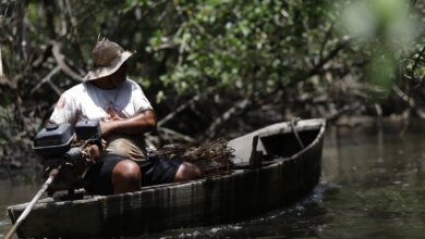 INSS paga em julho R$ 874 milhões a 149 mil pescadores