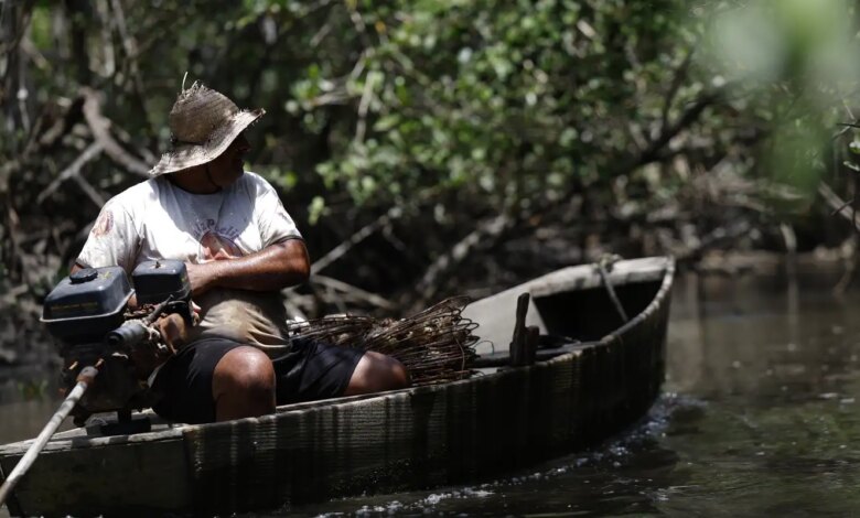INSS paga em julho R$ 874 milhões a 149 mil pescadores