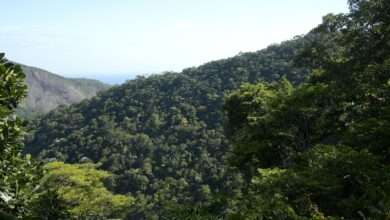 Plano mobiliza R$ 500 bi para financiamento sustentável no Brasil