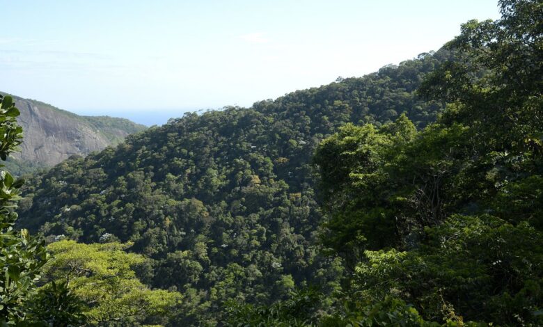 Plano mobiliza R$ 500 bi para financiamento sustentável no Brasil