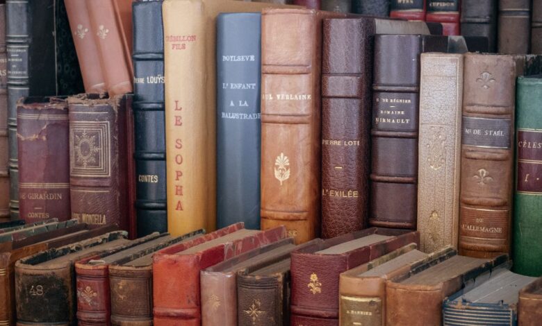 Júri pode anunciar amanhã vencedor do Prêmio Camões de Literatura 2026
