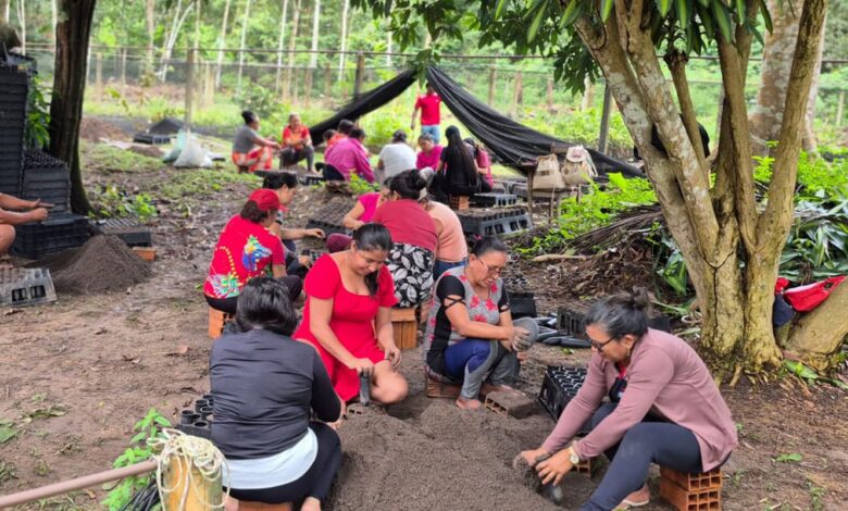 Mulheres da Amazônia se unem para enfrentar as mudanças climáticas
