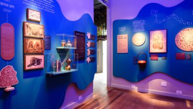 Exposição O Tempo das Plantas propõe troca cultural e desaceleração