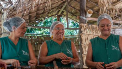 Biocosméticos unem ciência e tradições ribeirinhas no Oeste do Pará