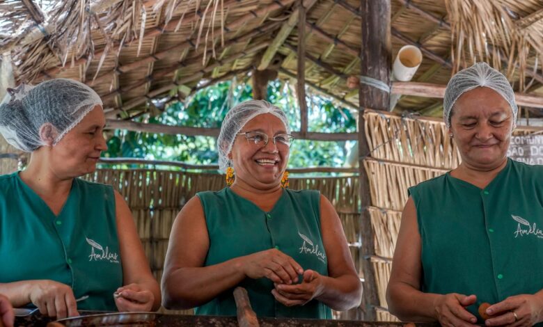 Biocosméticos unem ciência e tradições ribeirinhas no Oeste do Pará