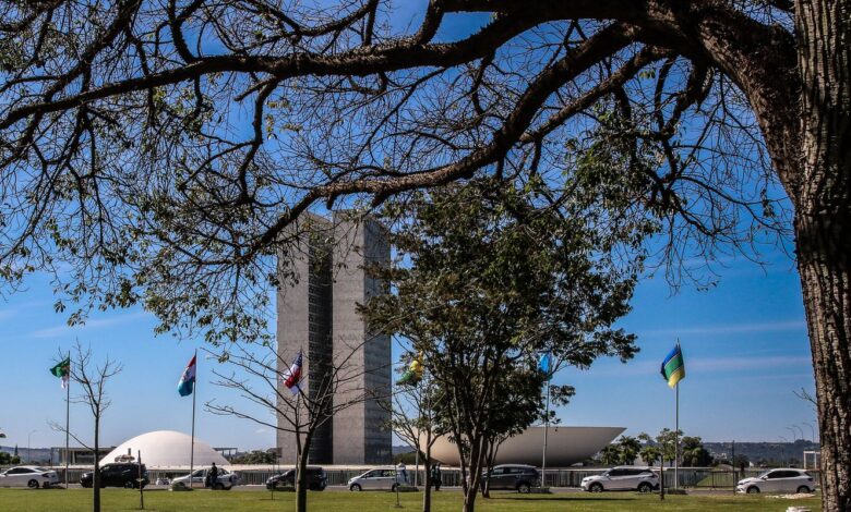 Congresso aumenta punição a crimes sexuais online contra crianças