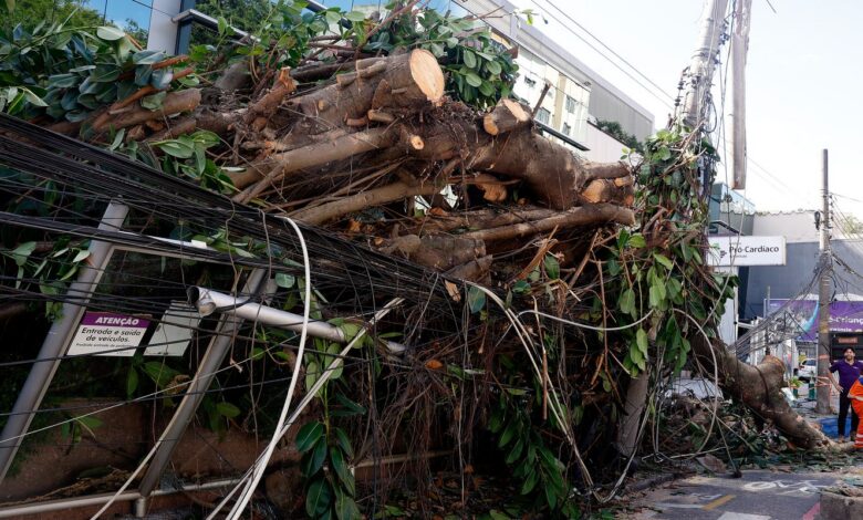 Ventania em RJ, SP e RS expõe falhas na resposta a extremos climáticos