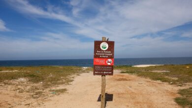 Restinga de Maricá: disputa pelo território opõe empresa e comunidades