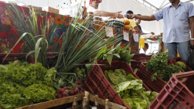 Decreto adia exigência de CNPJ para autônomos e produtores rurais