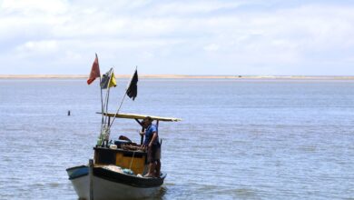 Pescadores artesanais começam a receber seguro-defeso retroativo