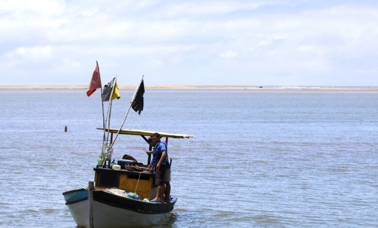 Pescadores artesanais começam a receber seguro-defeso retroativo