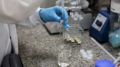 SBPC convida candidatos a governador a se comprometerem com a ciência