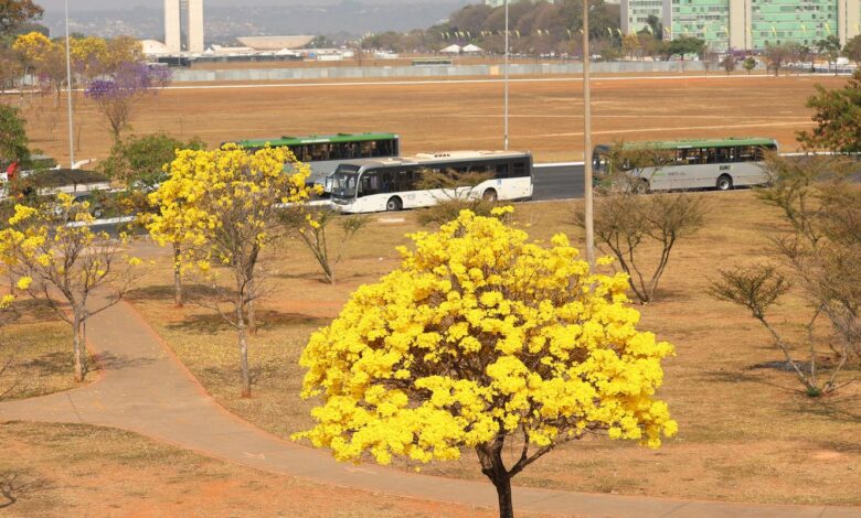 Centro-Oeste tem três alertas ativos para chuvas e baixa umidade