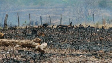 Sociedade civil rejeita agenda excludente aprovada no início da COP17