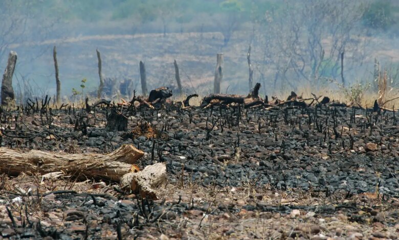 Sociedade civil rejeita agenda excludente aprovada no início da COP17