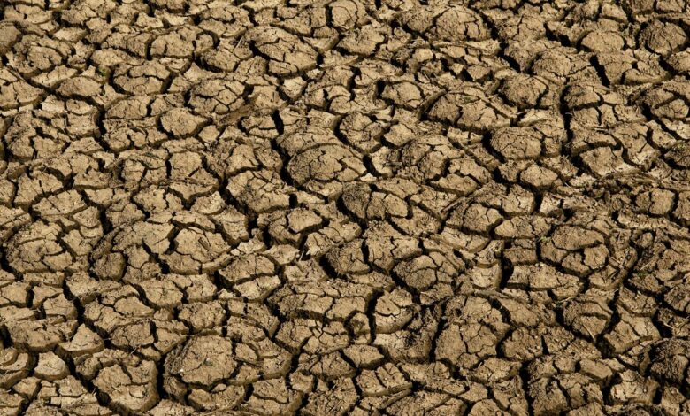 Risco de desertificação no Brasil ameaça segurança hídrica e alimentar
