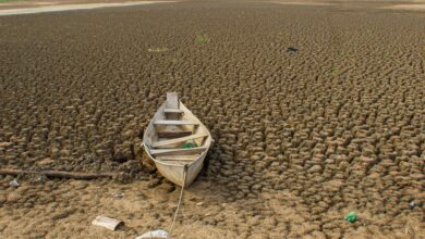 Brasil promete restaurar 163 mil km² de terras degradadas até 2030 
