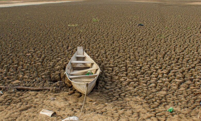 Brasil promete restaurar 163 mil km² de terras degradadas até 2030 
