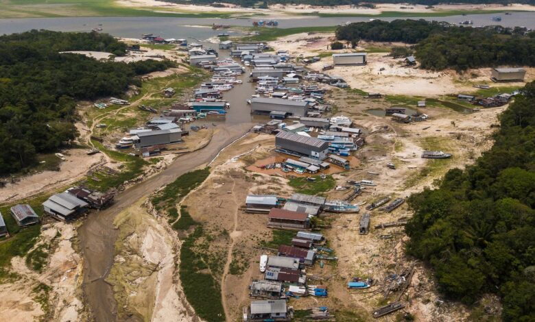 Da Amazônia à Europa, seca avança e movimenta debates na COP17