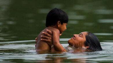 Pix Pensão Alimentícia: entenda o que é e como solicitar