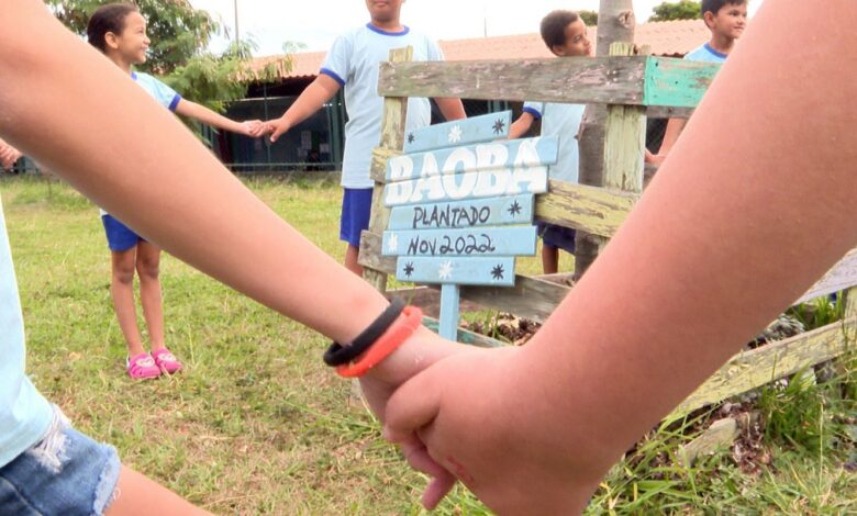 Caminhos da Reportagem aborda construção da identidade parda