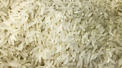 Terremoto: Brasil doará 10 toneladas de arroz à Colômbia