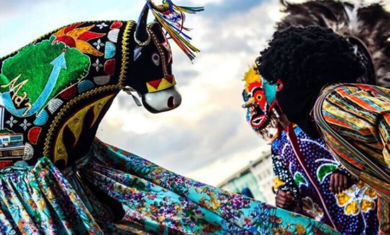 Mestres e mestras da cultura popular se reúnem em Brasília 