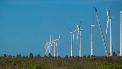 Projeto mapeia caminhos para economia verde no Nordeste