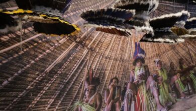 Povos Katxuyana e Kahyana contam retomada de território pela arte