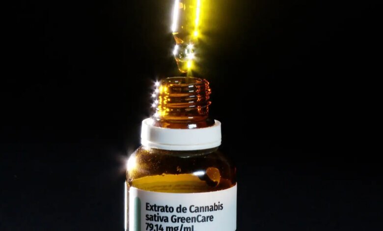 Autorizações para importação de cannabis aumentam 29% em 2026