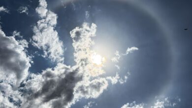 Beleza nos céus, halo solar não é sinal de chuva, diz especialista