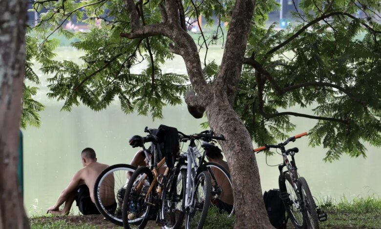 Temperaturas em São Paulo voltam a subir a partir de quarta-feira