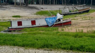 COP17 começa na Mongólia com foco em seca, terra e financiamento