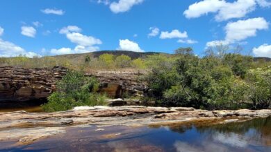 Pantanal: enfrentar mudanças climáticas depende de outros cinco biomas