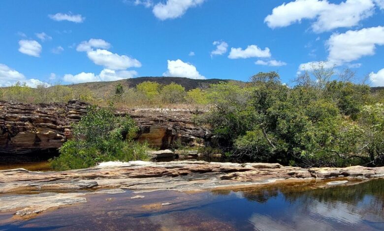 Pantanal: enfrentar mudanças climáticas depende de outros cinco biomas