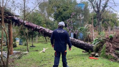 Sul, Sudeste e Centro-Oeste têm alerta para tempestades e vendavais