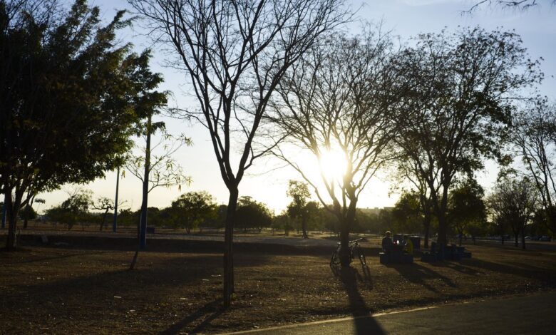 Região Centro-Oeste tem alerta laranja de perigo para baixa umidade