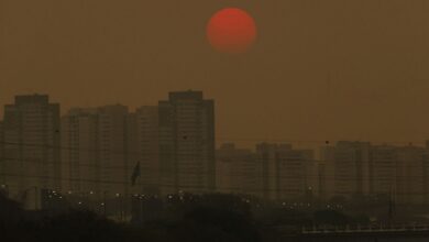 Relatório traz soluções para reduzir emissões de metano
